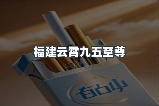 福建云霄九五至尊